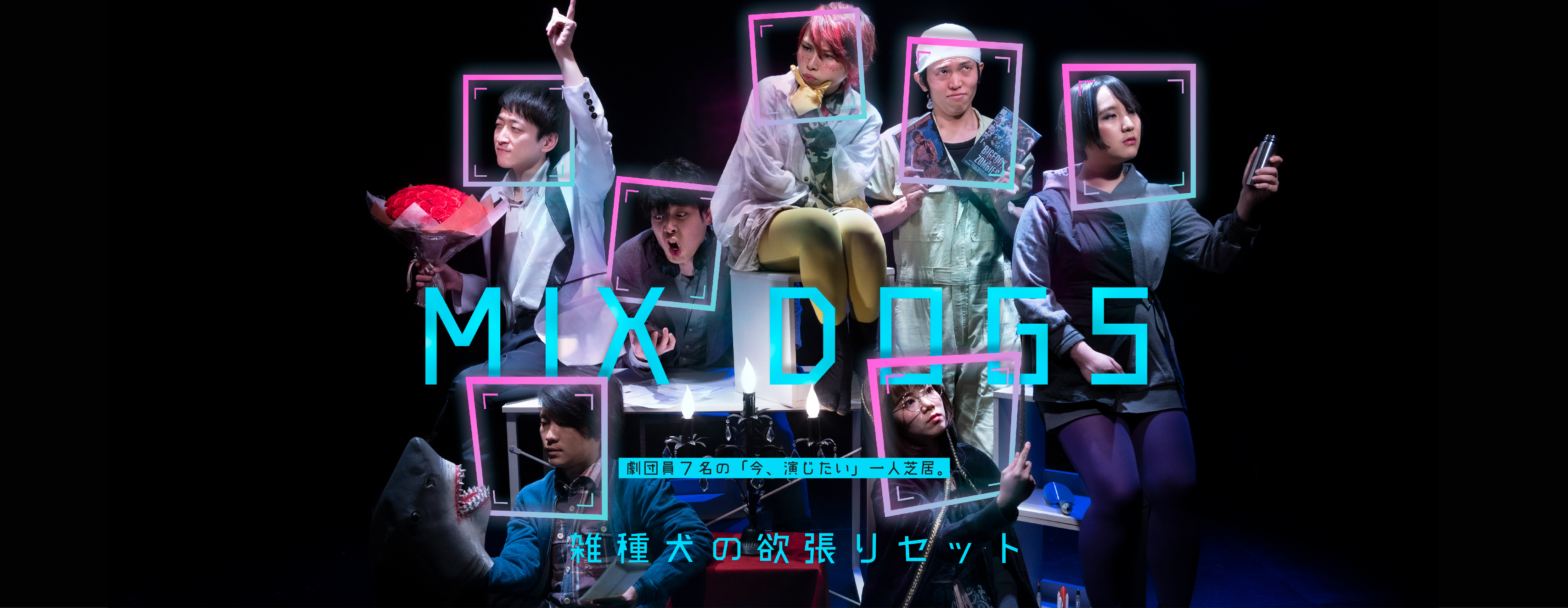 雑種犬のよくばりセット